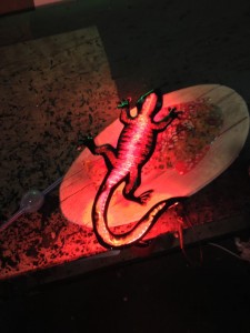 Neon Lizard